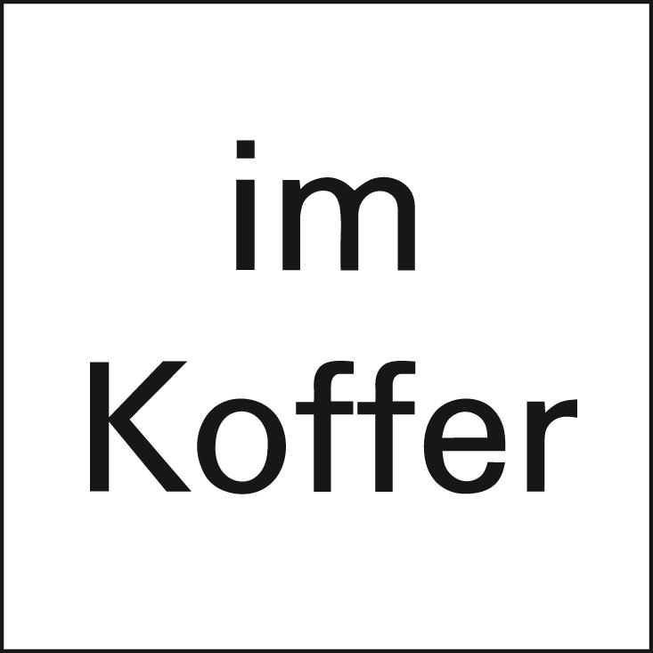 BOSCH Akku-Bohrhammer im Koffer