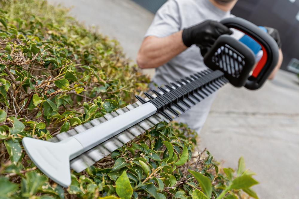 BOSCH Akku-Heckenschere, SOLO