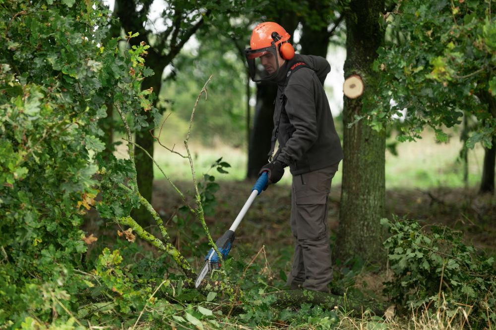 BOSCH Akku-Kettensäge, SOLO